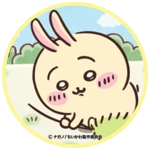 乌萨奇 usagi